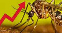 Health Ministry Reports Dengue Increase